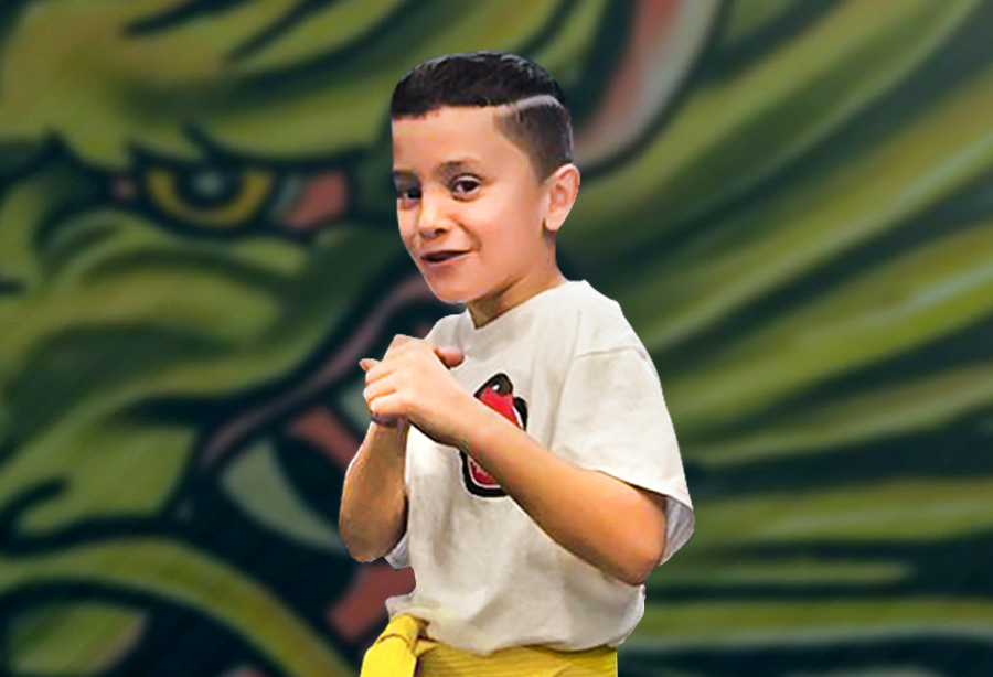 Header Virtual kids martial arts